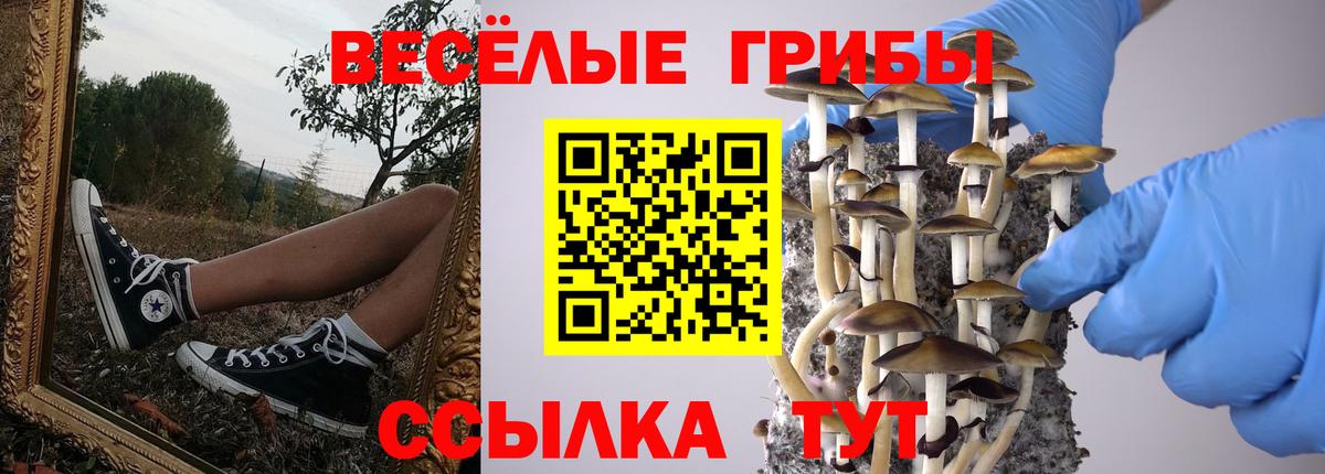 Бор  где продают   Вход с VPN  Псилоцибиновые грибы Magic Shrooms 